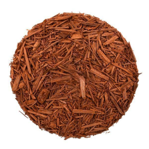 African Coralwood Dried Cut Bark