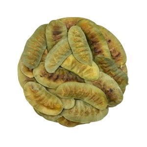 Alexandrian Senna Pods