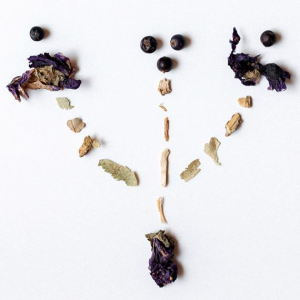 Alkalì - Angelica, Licorice & mallow