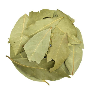 Bay Dried Whole Leaves – Laurus Nobilis