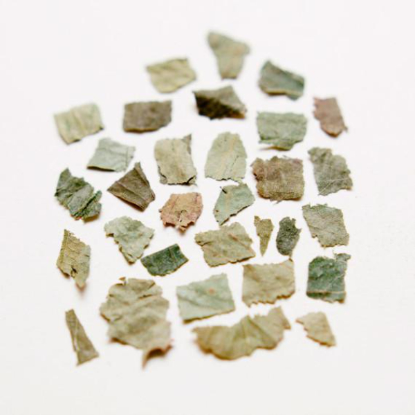 Birch Sap - Horsetail, Birch & Nettle