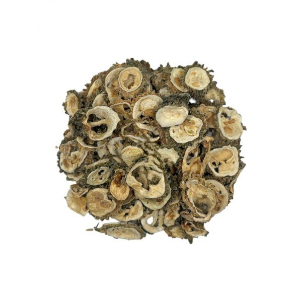 Bitter Melon Dried Fruit Slices - Momordica Charantia L.