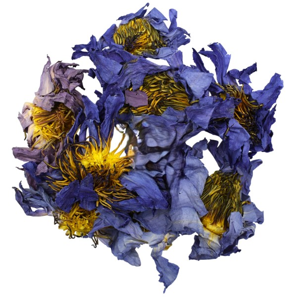 Blue Lotus Whole Dried Flowers