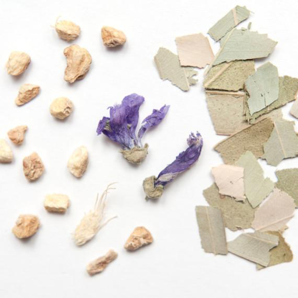 Breath - Eucalyptus, Thyme & Mallow