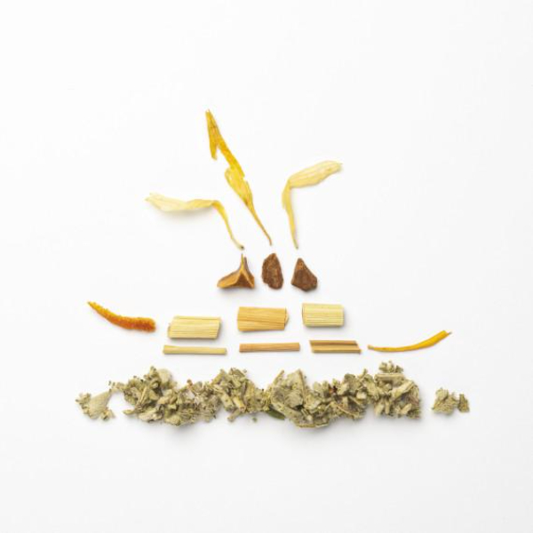 Enchanted Forest - Sage and Tonka Bean Tea