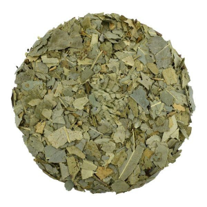 Eucalyptus Dried Cut Leaves