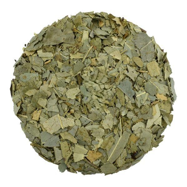 Eucalyptus Dried Cut Leaves