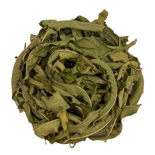 Lemon Verbena Dried Leaves – Aloysia Citrodora