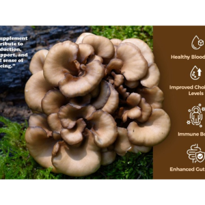 Maitake