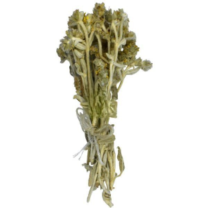 Mountain Evia Herbal Tea