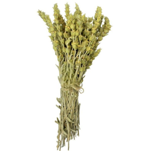 Sideritis Raeseri Mountain Herbal Tea