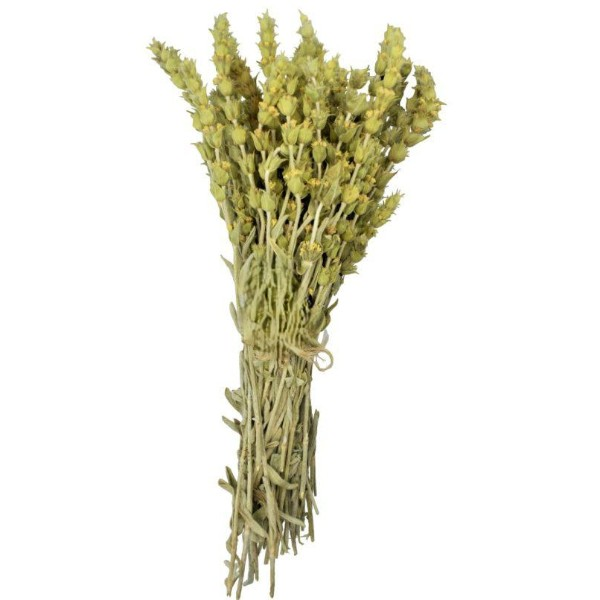 Sideritis Raeseri Mountain Herbal Tea