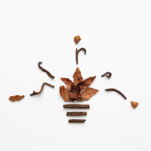 Pu Erh Cocoa & Vanilla