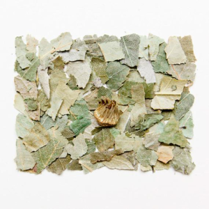 Pure Essence - Artichoke, Dandelion & Birch