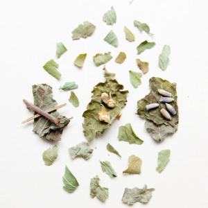 Sleepy Moon - Hawthorn, Lemon Balm & Linden