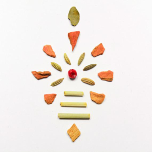 Zen - Ginger, Turmeric, Moringa & Lemongrass