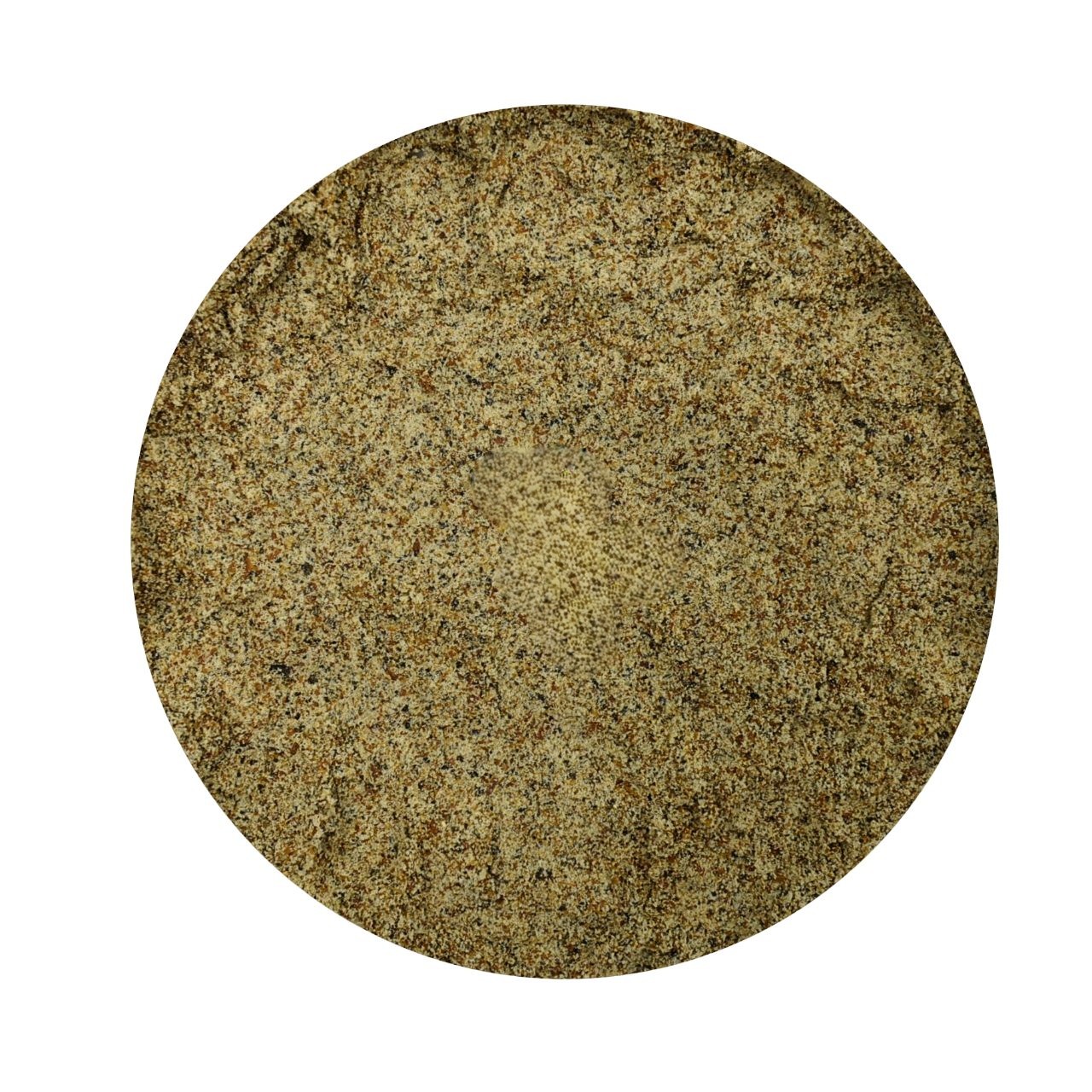 Milk Thistle Seeds Powder - Silybum Marianum